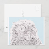 Postkarte - Eulenküken zum Ausmalen (Vorne/Hinten)