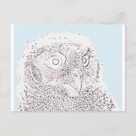 Postkarte - Eulenküken zum Ausmalen (Vorderseite)