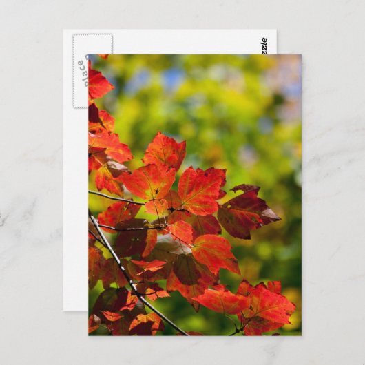 Postkarte fallen (Vorne/Hinten)