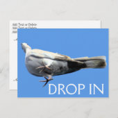 Postkarte fallen - SRF (Vorne/Hinten)