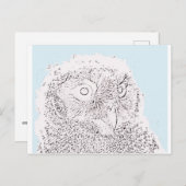 Postkarte - Farbe (Vorne/Hinten)