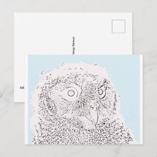 Postkarte - Farbe (Vorne/Hinten)