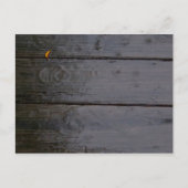 Postkarte "Farbe" (Vorderseite)