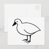 Postkarte "Farbe für den eigenen Vogel" (Vorne/Hinten)