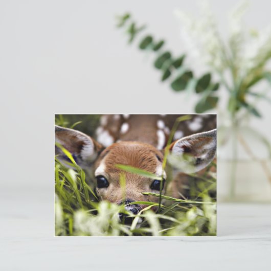 Postkarte - Fauna (Stehend Vorderseite)