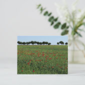 Postkarte Feld der Poppies (Stehend Vorderseite)