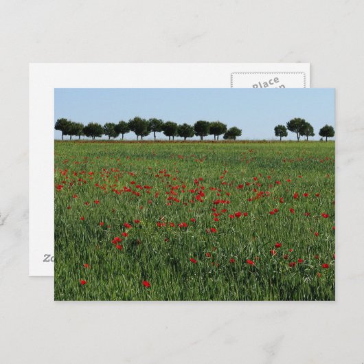 Postkarte Feld der Poppies (Vorne/Hinten)