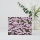 Postkarte - Feld der rosa Blume (Stehend Vorderseite)