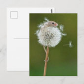 Postkarte - Feldmaus & Löwenzahn (Vorne/Hinten)