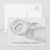 Postkarte Ferret - Pandora Owns (Vorne/Hinten)