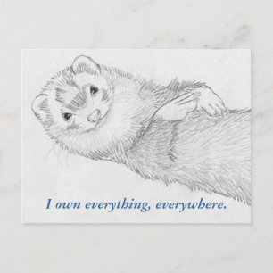 Postkarte Ferret - Pandora Owns