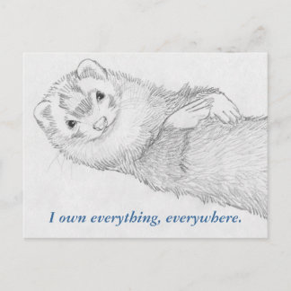 Postkarte Ferret - Pandora Owns
