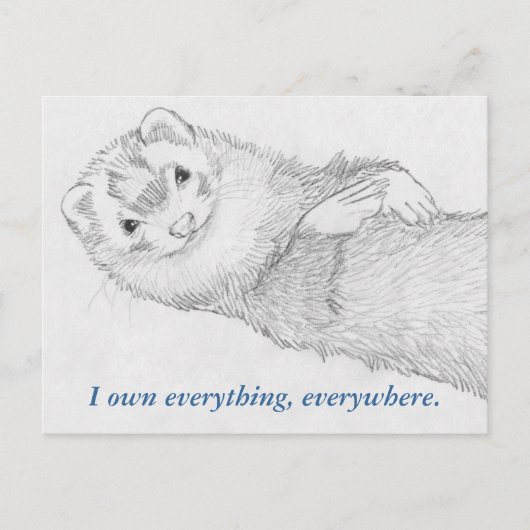 Postkarte Ferret - Pandora Owns (Vorderseite)