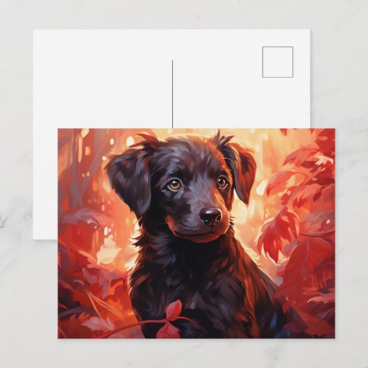 Postkarte Feu Fleuri (Vorne/Hinten)