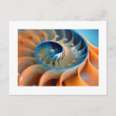 Postkarte - Fibonacci-Muscheln (Vorderseite)