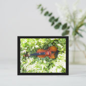 Postkarte Fiddle and Ivous Violin Postkarte (Stehend Vorderseite)