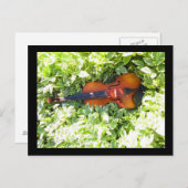 Postkarte Fiddle and Ivous Violin Postkarte (Vorne/Hinten)