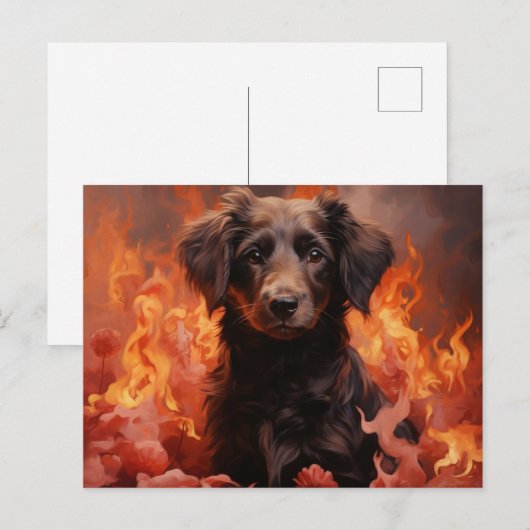 Postkarte Flammenblume (Vorne/Hinten)