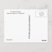 Postkarte - Flycatcher (Rückseite)