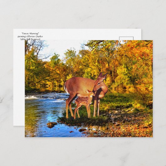 Postkarte "Forest Morning" (Vorne/Hinten)