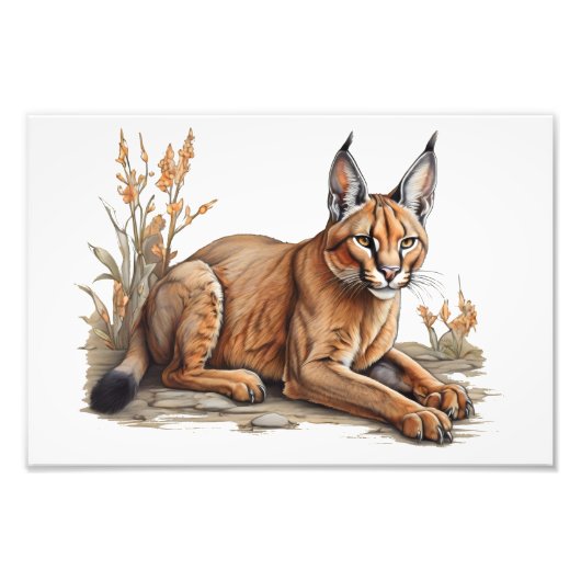 Postkarte Fotodruck (Vorne)