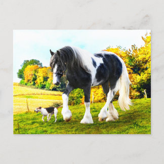 Postkarte "Frankie & Tessa"