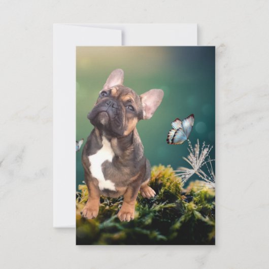 Postkarte französische Bulldogge (Vorderseite)