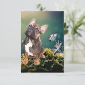 Postkarte französische Bulldogge (Stehend Vorderseite)