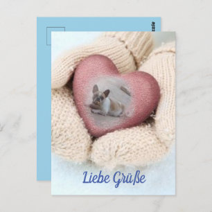 Postkarte französische Bulldoggen