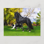 Postkarte "Frühling" (Vorderseite)