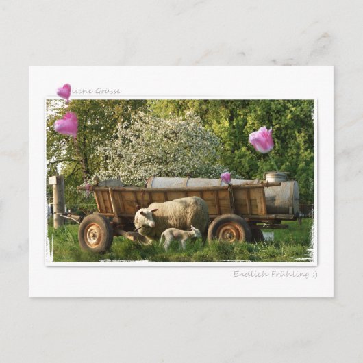 Postkarte: Frühling Postkarte (Vorderseite)