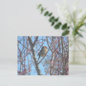 Postkarte - Frühlingsständer (Stehend Vorderseite)