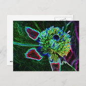 Postkarte für abstrakte Rock-Rose (Vorne/Hinten)