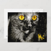 Postkarte für Affen (Vorne/Hinten)