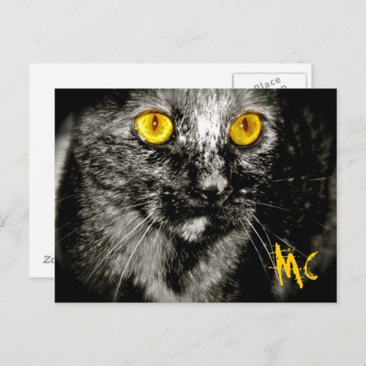 Postkarte für Affen (Vorne/Hinten)