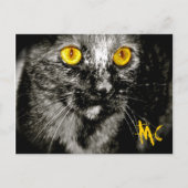 Postkarte für Affen (Vorderseite)