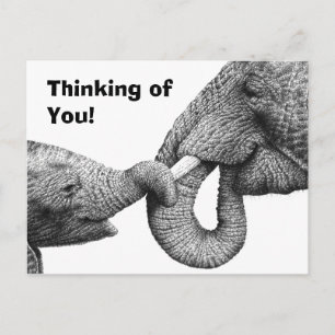 Postkarte für Afrikanischer Elefant und Kalb