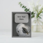 Postkarte für Afrikanischer Papagei (Stehend Vorderseite)