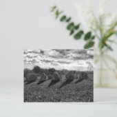 Postkarte für alte Steine (Stehend Vorderseite)