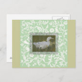 Postkarte für Aquarellente (Vorne/Hinten)