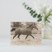 Postkarte für Arabien (Stehend Vorderseite)