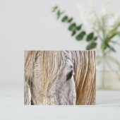 Postkarte für Bälle (Stehend Vorderseite)