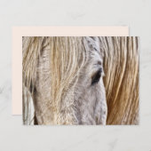 Postkarte für Bälle (Vorne/Hinten)