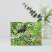 Postkarte für Blackbird und Berries (Stehend Vorderseite)