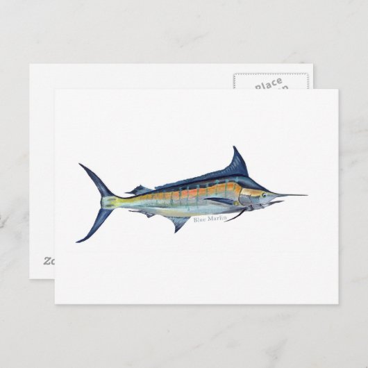 Postkarte für Blaumarlin (Vorne/Hinten)