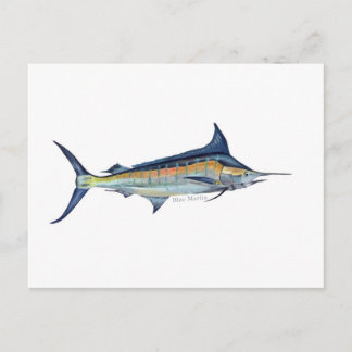 Postkarte für Blaumarlin