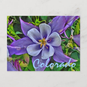 Postkarte für Colorado-Kolumne