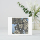 Postkarte für das 3D-Fraktal (Stehend Vorderseite)