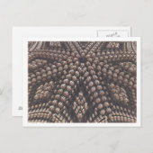 Postkarte für das 3D-Fraktal (Vorne/Hinten)