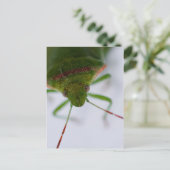 Postkarte für das Auge (Stehend Vorderseite)